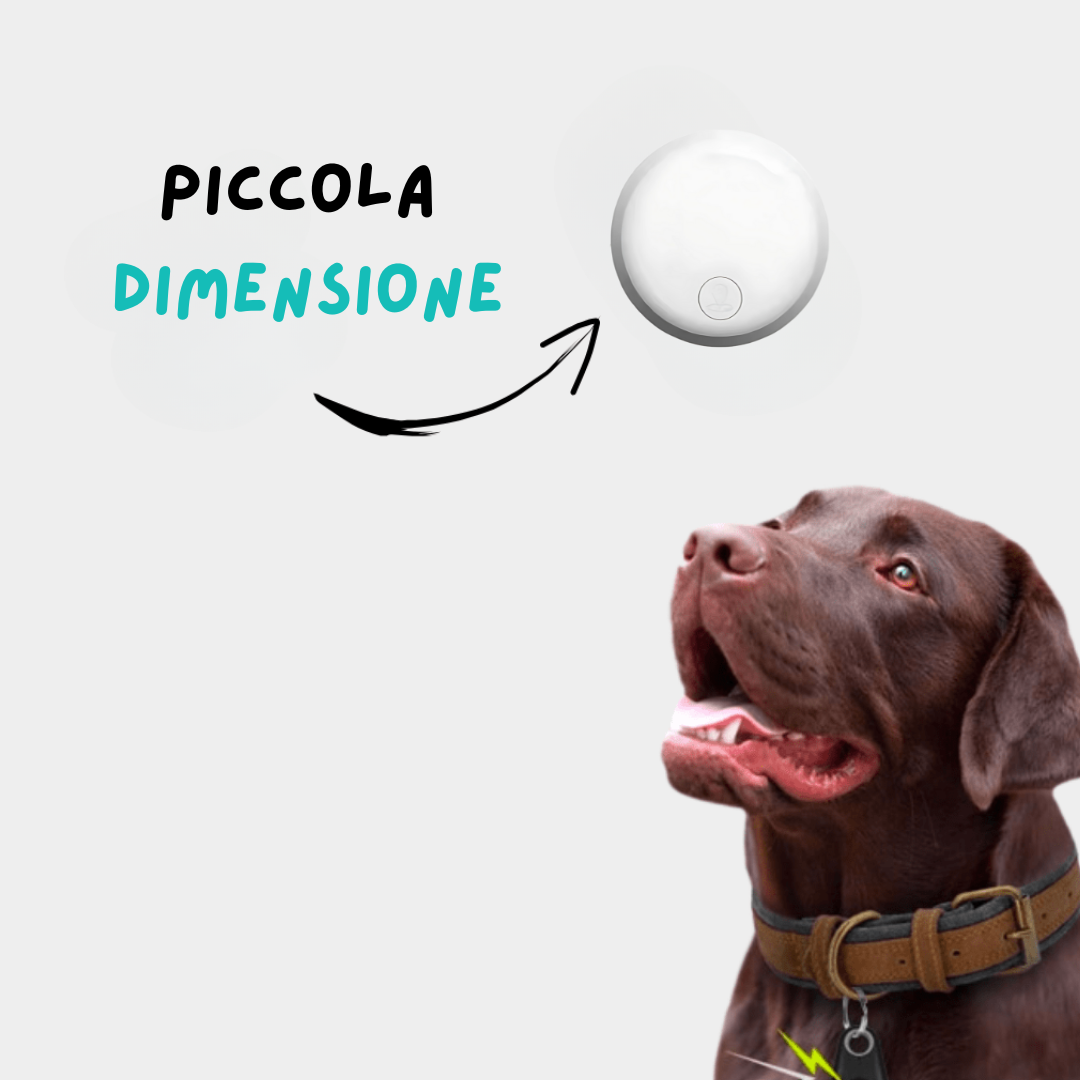 Rassivo GPS Sicurezza Totale per Cani – Senza Abbonamento