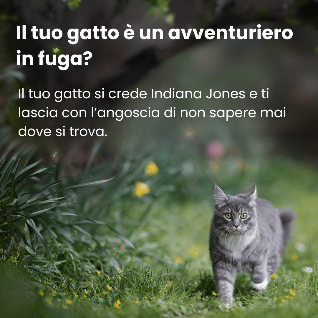 Localizzatore GPS per Gatto Discreto – Tracciamento Globale con Apple & Android Find My – Senza Canoni Mensili