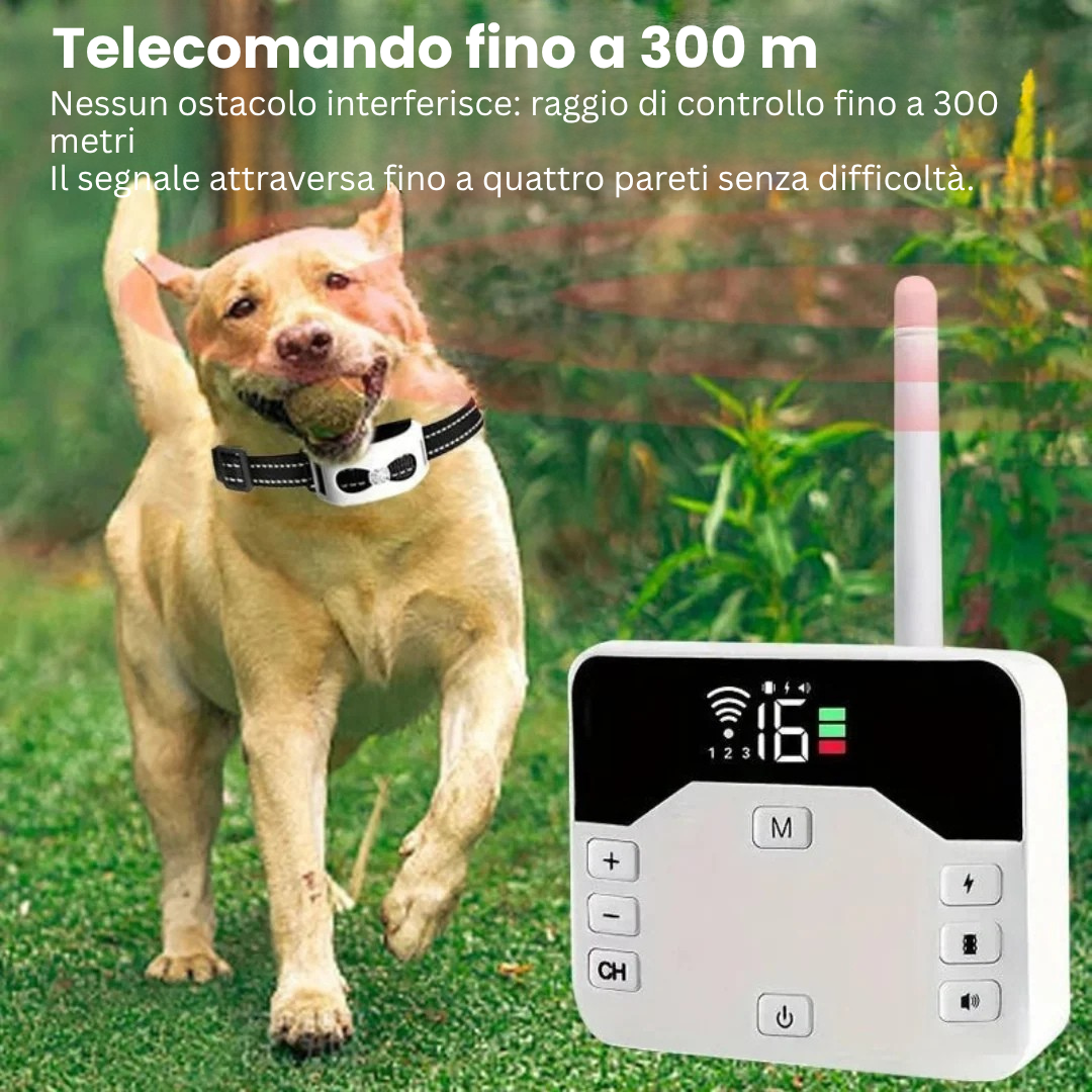 GoldenFence™ – Recinto wireless & Collare addestramento 2-in-1 – Sicurezza & Addestramento Facile 🐾