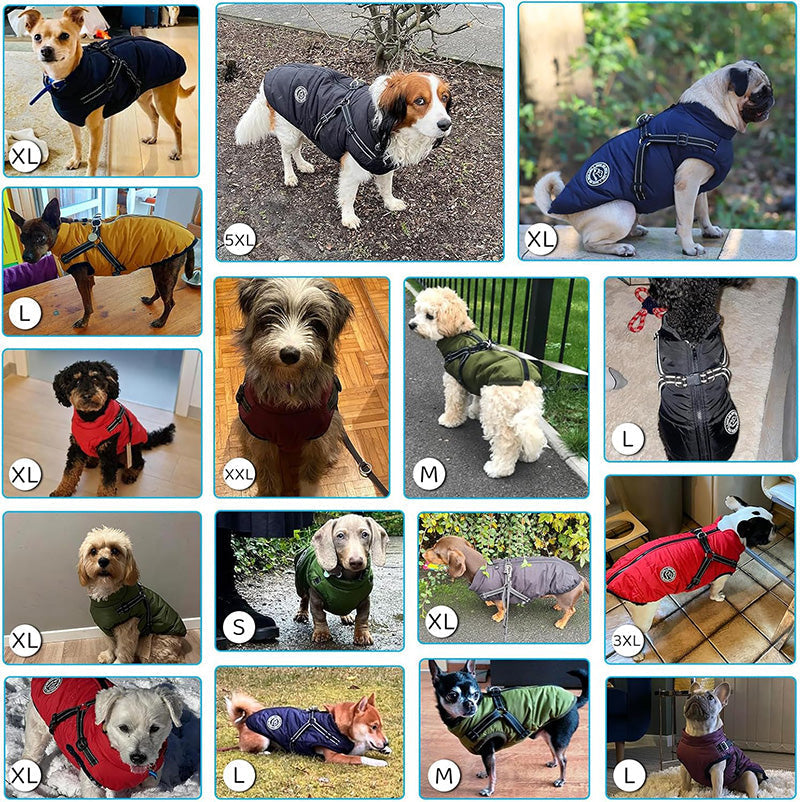 Giacca Invernale per Cani 3-in-1 | Calda, Impermeabile, Antivento con Pettorina Integrata