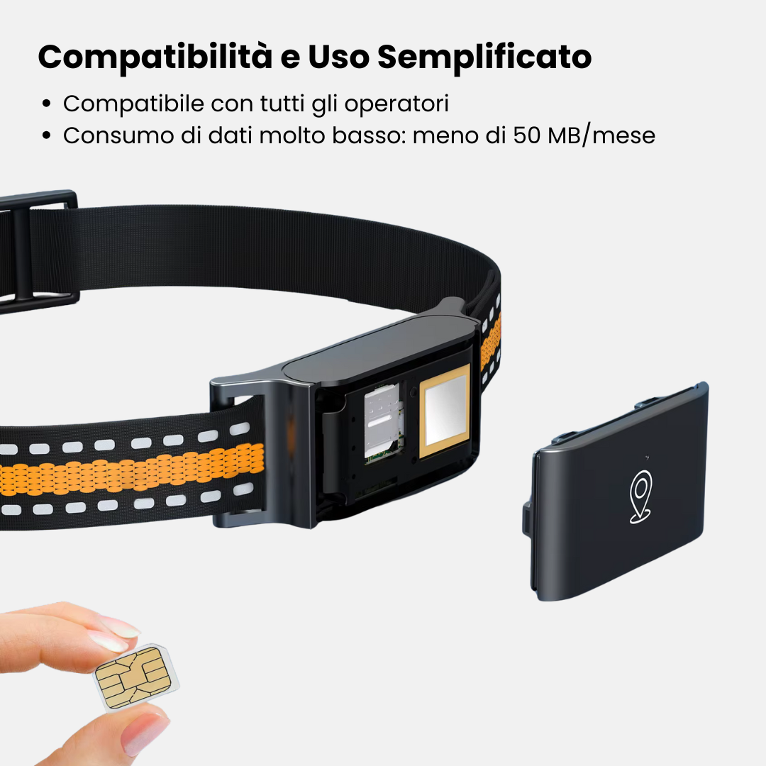 Collare GPS senza Abbonamento – Tracciamento Preciso e Copertura Illimitata