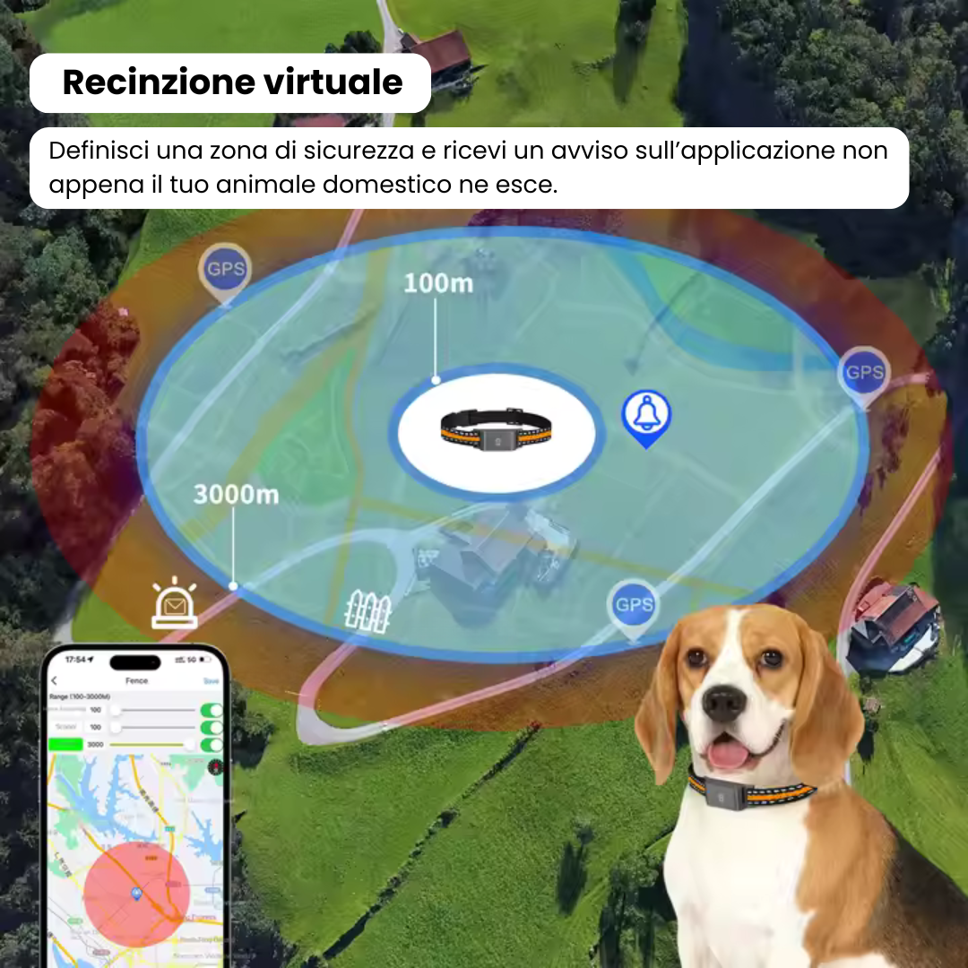 Collare GPS senza Abbonamento – Tracciamento Preciso e Copertura Illimitata