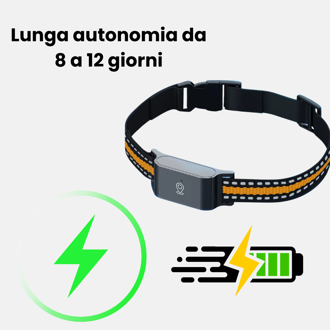 Collare GPS senza Abbonamento – Tracciamento Preciso e Copertura Illimitata