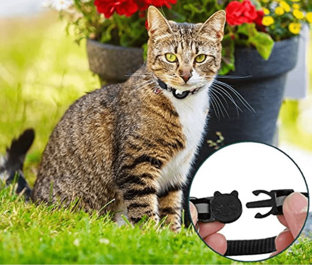CATGUARD – Collare GPS per gatti con design riflettente