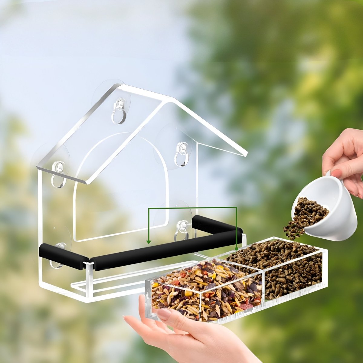 BIRDVISTA – Alimentatore per uccelli da finestra in acrilico con ventose resistenti per osservazione ravvicinata