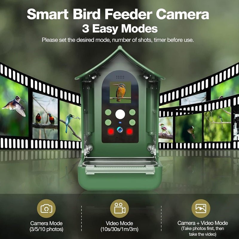 BIRDLENS – Alimentatore per uccelli intelligente con fotocamera HD per l'osservazione della fauna selvatica in tempo reale