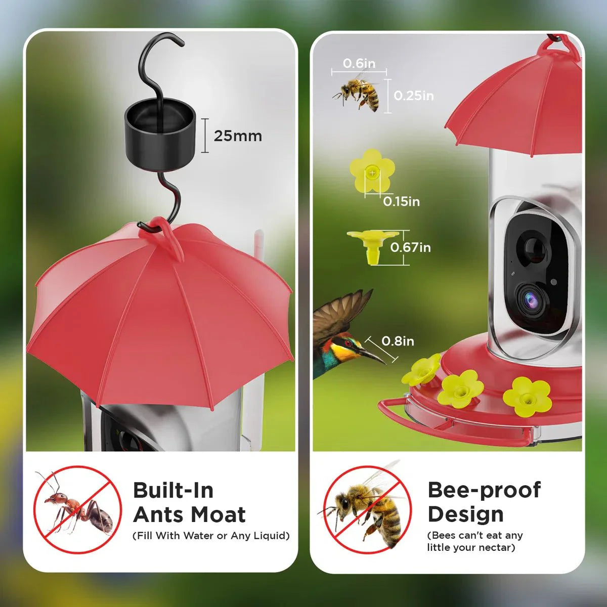 BIRDVUE – Mangiatoio intelligente per uccelli da esterno con videocamera grandangolare 1080p
