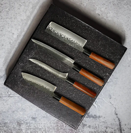 Rassivo Set di Coltelli in Acciaio Inox