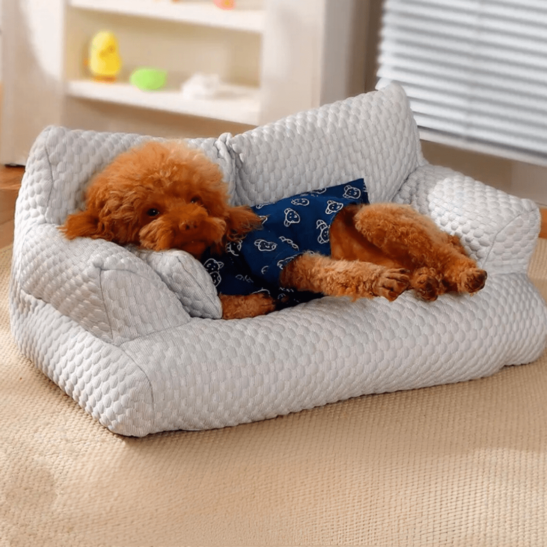 Divano Rinfrescante per Cani
