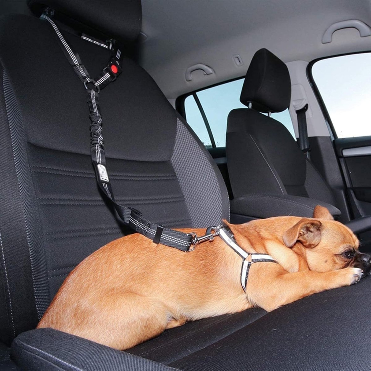 Cintura di Sicurezza per Auto