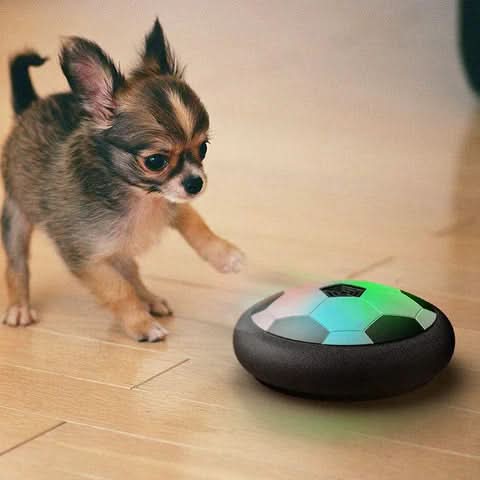 ChaseSpark – Palla da gioco interattiva per cani con movimenti imprevedibili