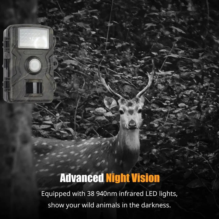 Fotocamera da sentiero 1080p con sensore di movimento e LED per visione notturna