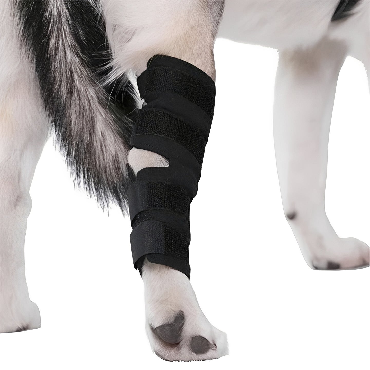 Tutore per zampa del cane con cinghie regolabili