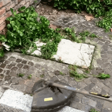 Il Tagliabordi Indistruttibile