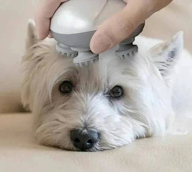 Massaggiatore elettrico per gatti e cani Rassivo™