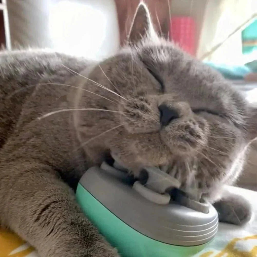 Massaggiatore elettrico per gatti e cani Rassivo™