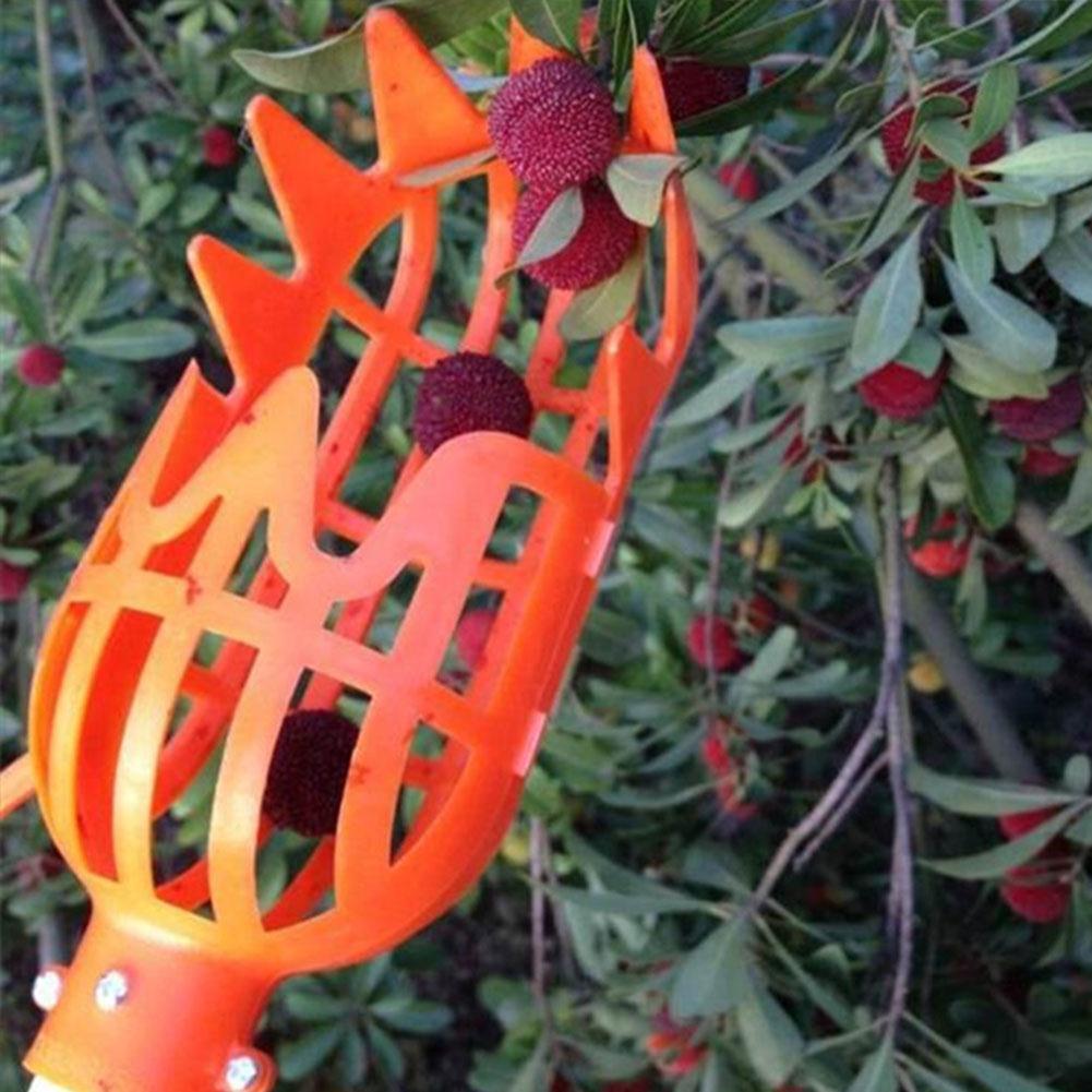 Raccogli frutta telescopico con cestello