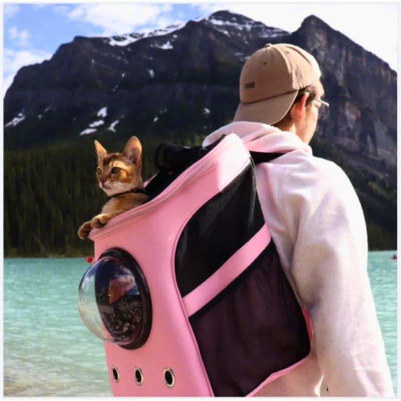 PANORIX – Borsa da viaggio pieghevole per gatto con finestra panoramica