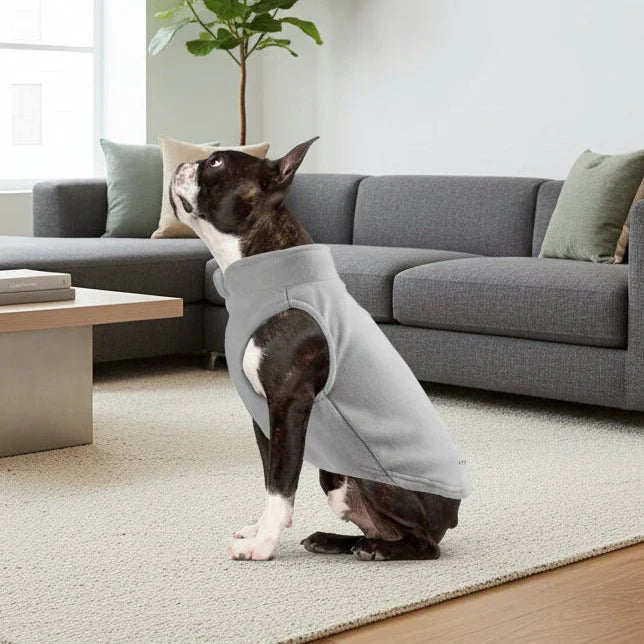 PETSNUG – Gilet per cane idrorepellente con anello a D