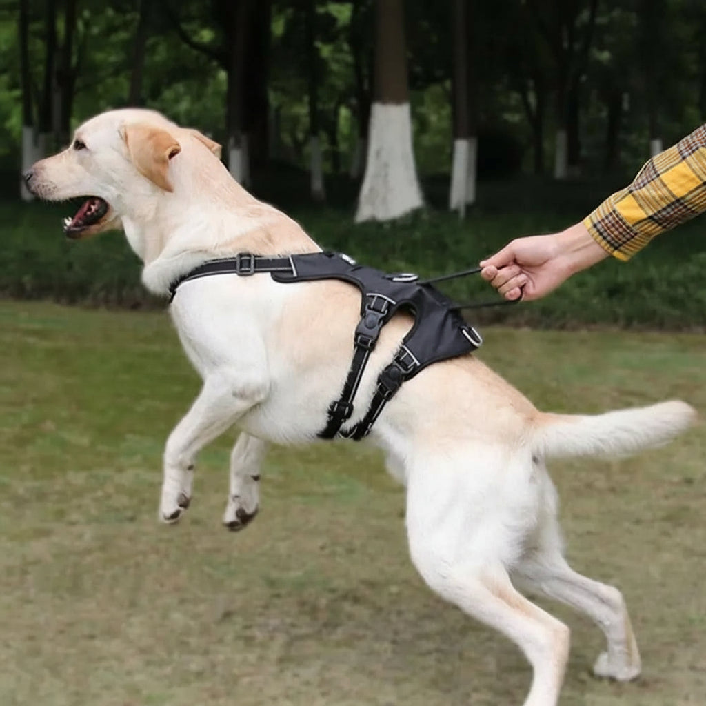 Pettorina NoPull in nylon per cani - riflettente e a prova di fuga per passeggiate rilassate