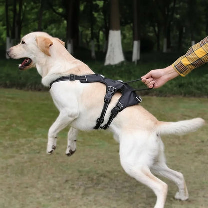 Pettorina NoPull in nylon per cani - riflettente e a prova di fuga per passeggiate rilassate