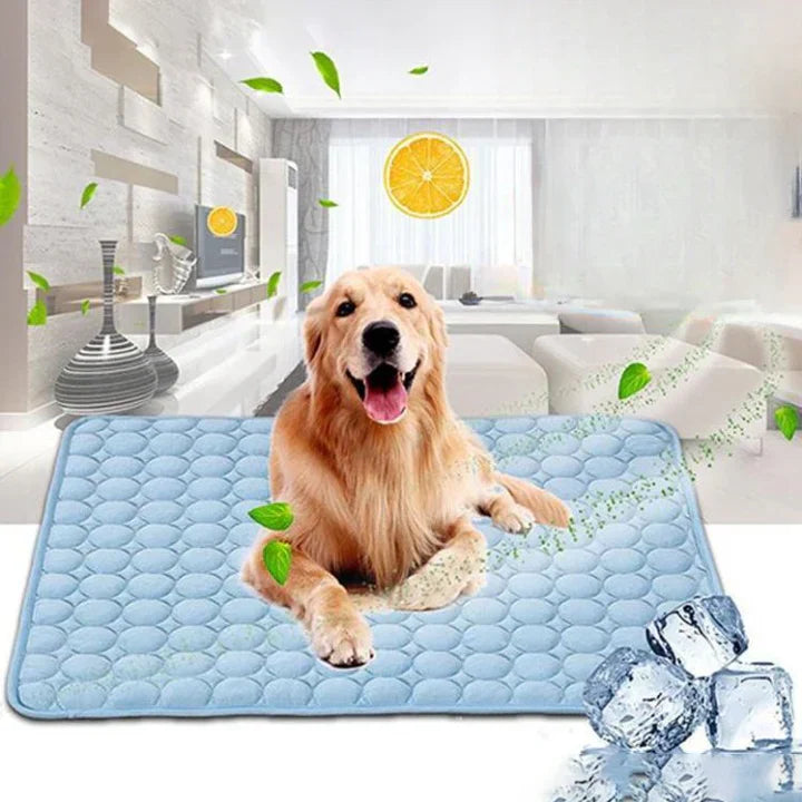 Rassivo™ - Tappetino per cani a raffreddamento istantaneo