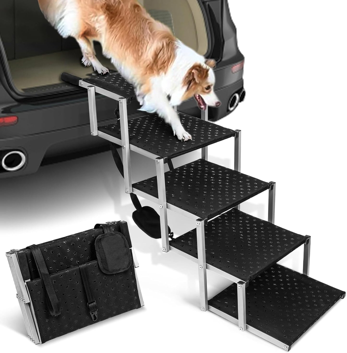 Rampe per Cani per Auto