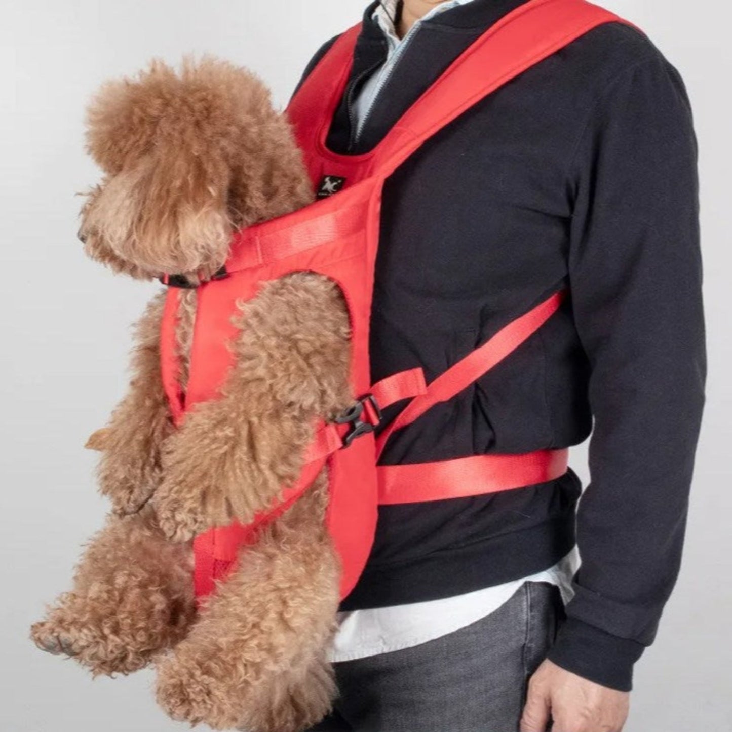 Zaino Frontale per Trasportare Cani da Escursionismo