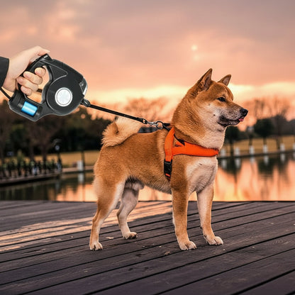 BRIGHTSTRIDE – Guinzaglio LED per cani con torcia integrata per passeggiate sicure