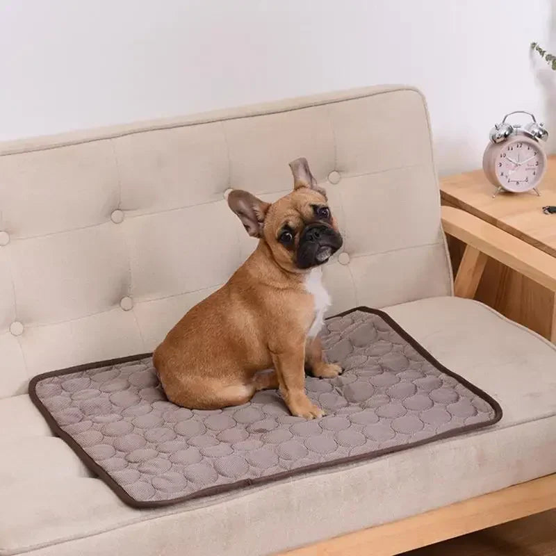 Rassivo™ - Tappetino per cani a raffreddamento istantaneo
