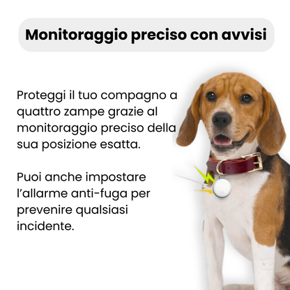 Localizzatore GPS per Cane Discreto – Tracciamento Globale con Apple & Android Find My – Senza Costi Mensili