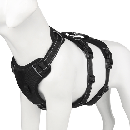 Pettorina NoPull in nylon per cani - riflettente e a prova di fuga per passeggiate rilassate