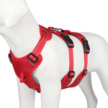 Pettorina NoPull in nylon per cani - riflettente e a prova di fuga per passeggiate rilassate