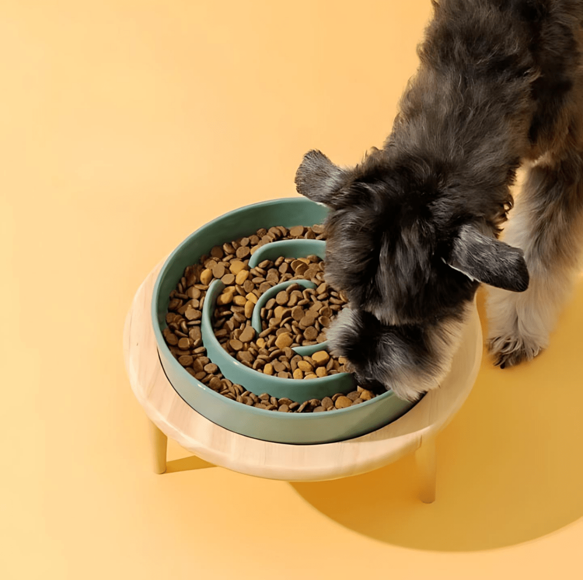 PawSavor – Ciotola Premium per Alimentazione Lenta per Cani e Gatti