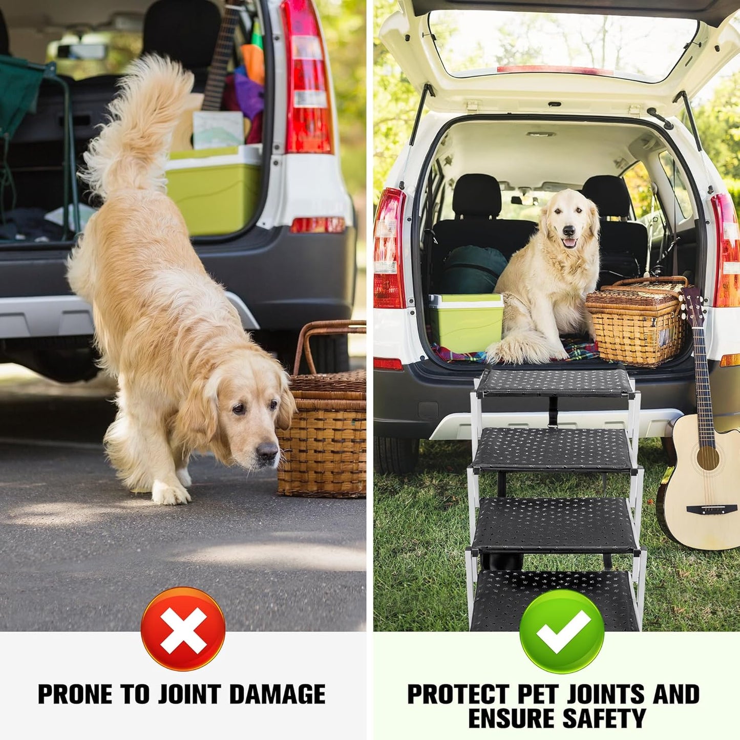Rampe per Cani per Auto