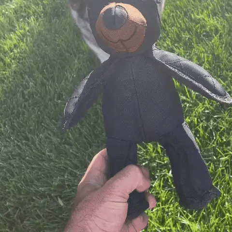 Gioco per cani sicuro e resistente