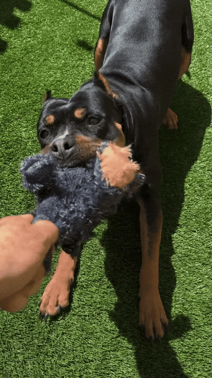 Giochi per Cani Orso Indistruttibili e Interattivi per Grandi Masticatori