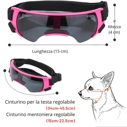 Occhiali protettivi per cagnolino