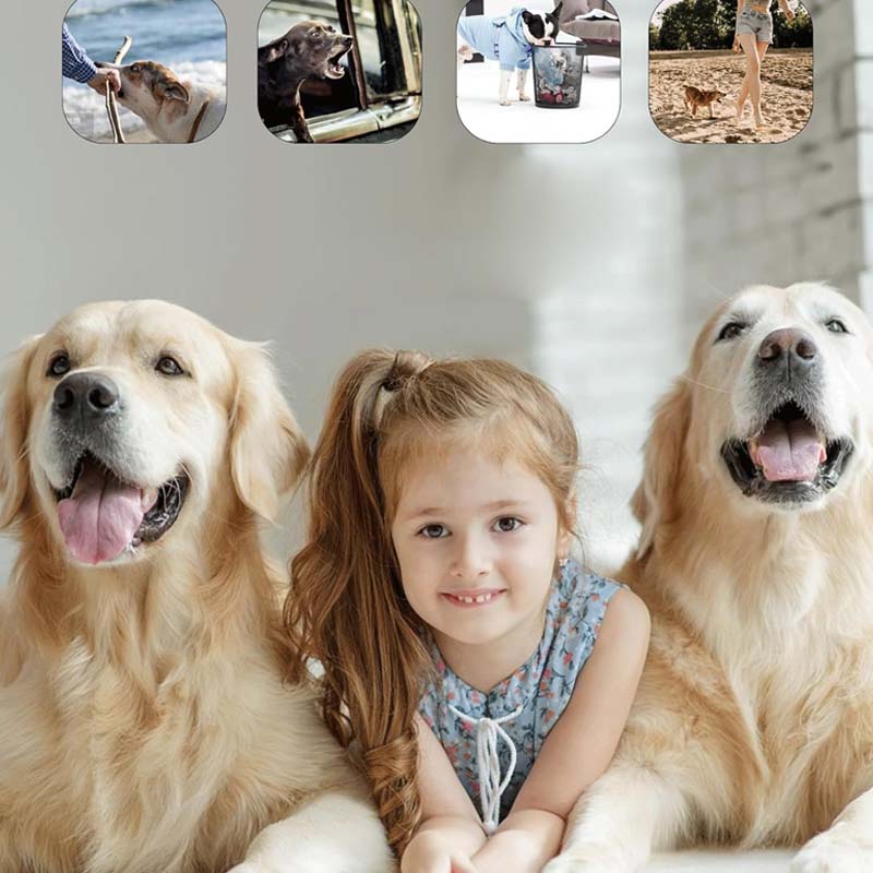 Repellente ultrasonico per cani