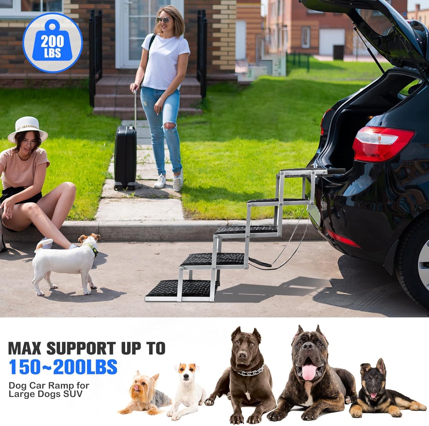 Rampe per Cani per Auto