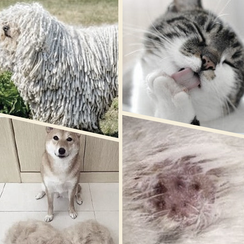 FurEase spazzola ergonomica e sicura