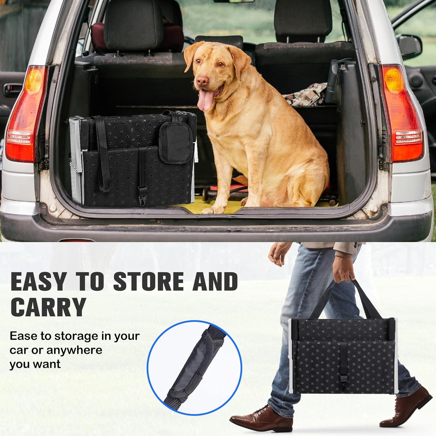Rampe per Cani per Auto