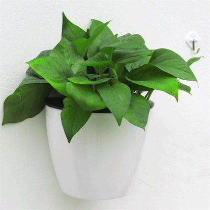 Plantiva – vaso da fiori verticale autoirrigante per la vita moderna