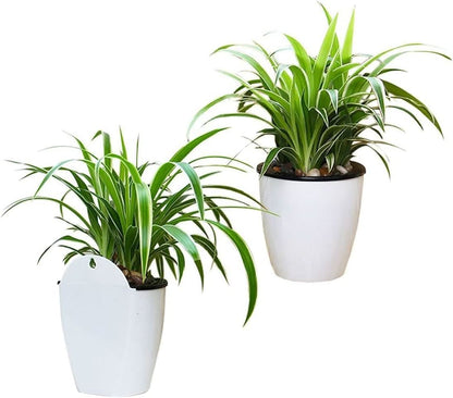 Plantiva – vaso da fiori verticale autoirrigante per la vita moderna
