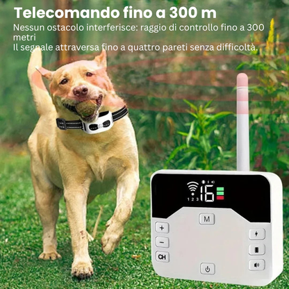 GoldenFence™ – Recinto wireless & Collare addestramento 2-in-1 – Sicurezza & Addestramento Facile 🐾