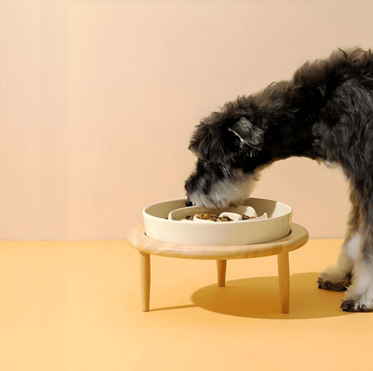 PawSavor – Ciotola Premium per Alimentazione Lenta per Cani e Gatti