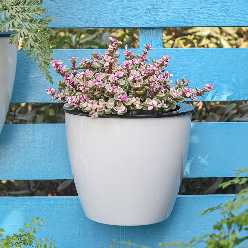 Plantiva – vaso da fiori verticale autoirrigante per la vita moderna
