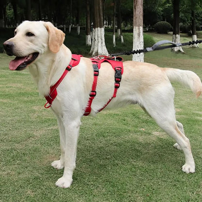 Pettorina NoPull in nylon per cani - riflettente e a prova di fuga per passeggiate rilassate