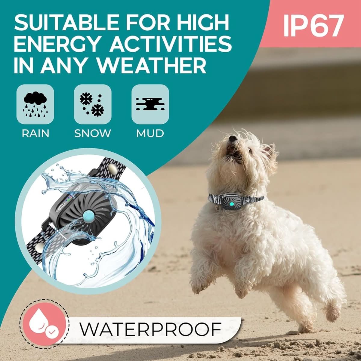 BARKCALM MINI – Collare antiabbaio delicato con suono e vibrazione per cani di piccola taglia