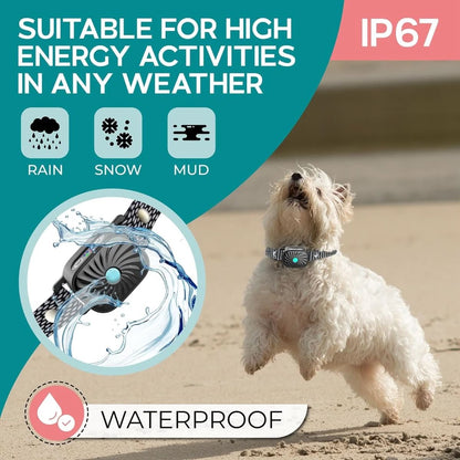 BARKCALM MINI – Collare antiabbaio delicato con suono e vibrazione per cani di piccola taglia
